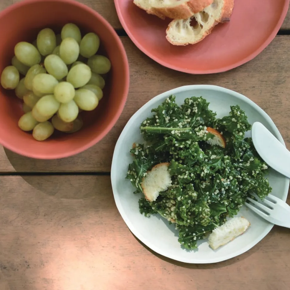 ALFRESCO bowl 880ml / 30oz