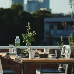 ALFRESCO mug