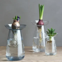 AQUA CULTURE VASE 120mm / 5in