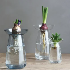 AQUA CULTURE VASE 120mm / 5in