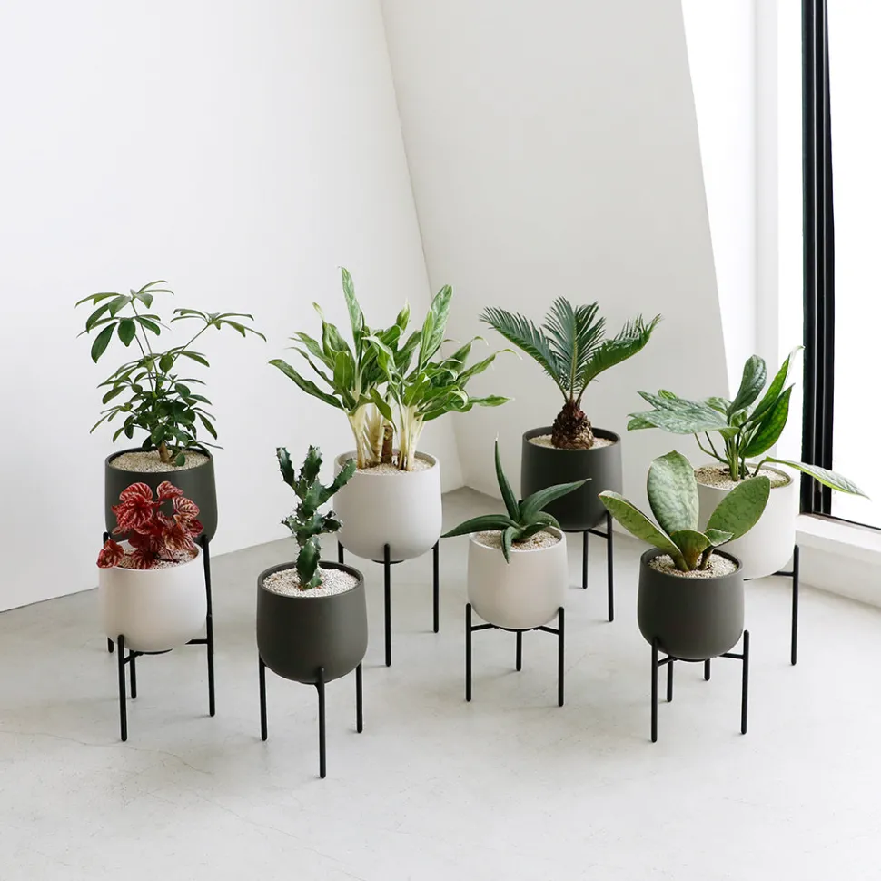 PLANT POT 211_ 135mm