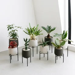 PLANT POT 211_ 160mm