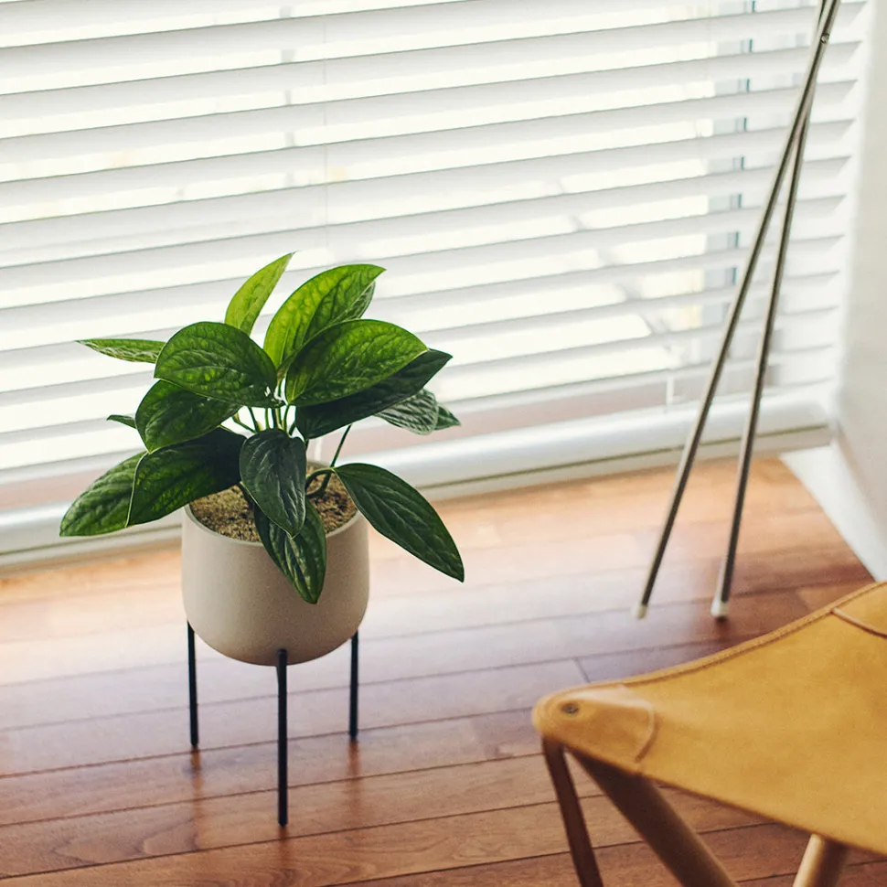 PLANT POT 211_ 160mm