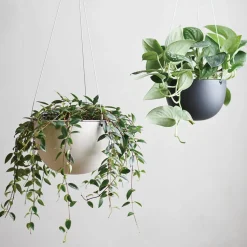 PLANT POT 201_ 140mm / 6in