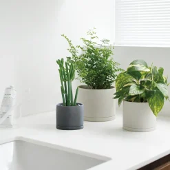 PLANT POT 191_ 135mm / 5in