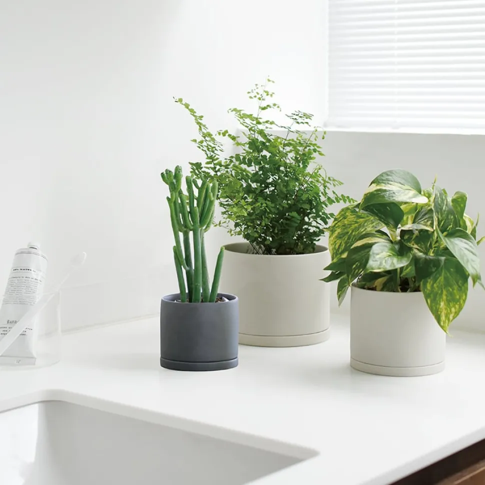 PLANT POT 191 85mm / 3in
