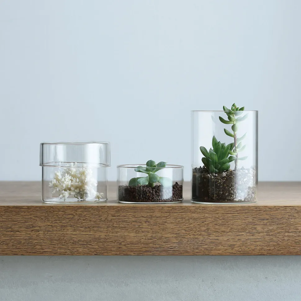 SCHALE glass case 100x55mm