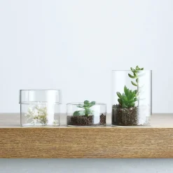 SCHALE glass case 100x55mm / 4x2in